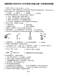 安徽省合肥市第四十五中学2024-2025学年九年级上学期第一次月考化学试题