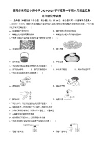 贵州省贵阳市南明区小碧中学2024-2025学年九年级上学期9月质量监测化学试卷