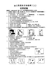 安徽省六安市金安区六安皋城中学2024-2025学年九年级上学期10月月考化学试题