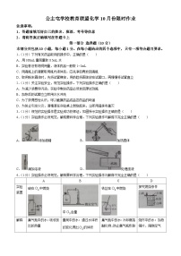 辽宁省新民市公主屯镇初级中学教育联盟2024-2025学年九年级上学期10月份限时作业（月考）化学试卷(无答案)