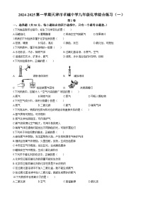 天津市河东区卓越中学2024-2025学年九年级上学期9月考化学试题(无答案)