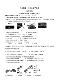 山东省聊城市高唐县第二实验中学2024-2025学年九年级上学期第一次月考化学试题(无答案)