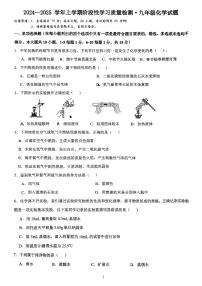 江西省南昌市红谷滩区实验学校2024-2025学年九年级上学期10月阶段性考试化学试题