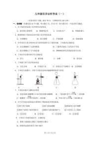 重庆市第二十九中学校2024-2025学年九年级上学期第一次月考化学试题