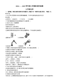 山东省临沂市兰山区2024-2025学年九年级上学期第一次月考化学试题(无答案)