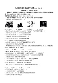 山东省济南兴济中学2024-2025学年九年级上学期10月化学阶段考试试卷(无答案)