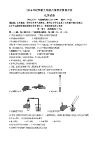 江苏省泰州市兴化市2024-2025学年九年级上学期10月月考化学试题(无答案)