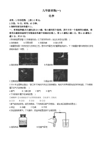 江西省南昌县东新中学2024-2025学年九年级上学期第一次月考化学试题
