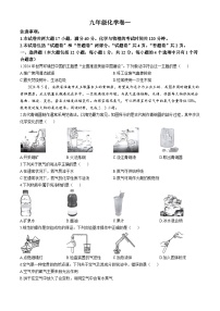 安徽省芜湖市鸠江区2024-2025学年九年级上学期第一次月考化学试题(无答案)