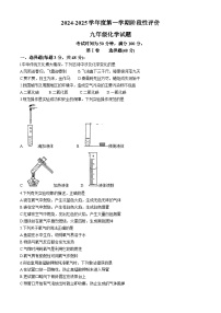 山东省日照市曲阜师范大学附属实验学校2024-2025学年九年级上学期10月月考化学试卷(无答案)