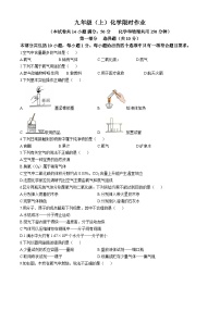 辽宁省阜新市实验中学2024-2025学年九年级上学期限时作业（月考）化学试卷(无答案)