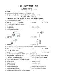 辽宁省大连市普兰店区第七中学2024-2025学年九年级上学期十月份化学卷化学