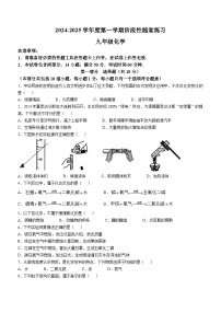 辽宁省大连市甘井子区2024-2025学年九年级上学期10月考卷化学月考卷