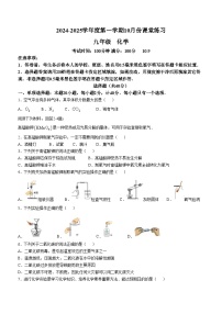 江苏省苏州市工业园区青剑湖实验中学2024-2025学年九年级上学期10月月考化学试卷(无答案)