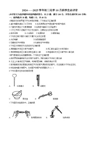 江苏省苏州市高新区新区实验学校2024-2025学年九年级上学期10月月考化学卷(无答案)