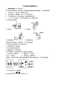 江苏省南通市第一初级中学2024--2025学年九年级上学期第一次月考化学试题(无答案)