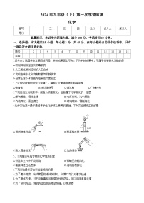 湖南省邵阳市邵东市2024-2025学年九年级上学期10月月考化学试题