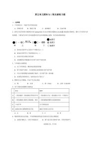 初中化学科粤版（2024）九年级上册（2024）5.3 二氧化碳随堂练习题