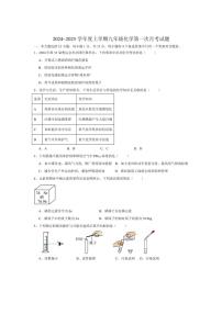 [化学]安徽省合肥市兴国实验学校2024_2025学年九年级上学期第一次月考试题(有答案)