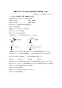 [化学][期中]2024～2025学年鲁教版(2024)九年级上学期期中达标测评卷(B卷)(有答案)