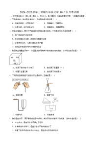 安徽省合肥市厚德中学2024~2025学年九年级上学期10月份月考化学试题