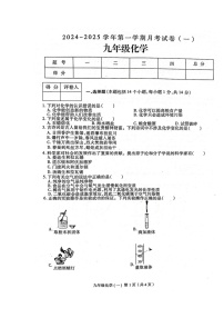 河南省周口市郸城县2024-2025学年九年级上学期10月月考化学试题