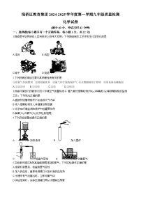 安徽省宿州市埇桥区2024-2025学年九年级上学期第一次月考化学试题(无答案)