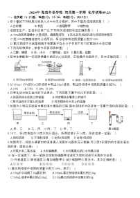 山东省淄博市张店外语实验学校2024-2025学年九年级（五四学制）上学期9月月考化学试题