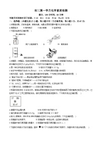 四川省德阳市第二中学校2024-2025学年九年级上学期第一次月考化学试题(无答案)