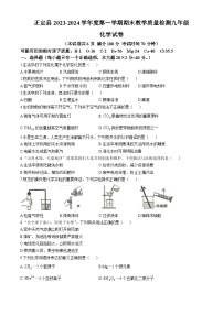 河北省石家庄市正定县2023-2024学年九年级上学期期末教学质量检测化学试卷(无答案)