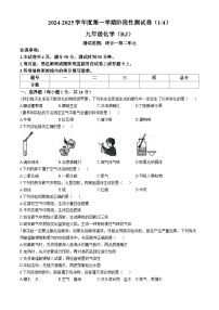 河南省驻马店市确山县2024-2025学年九年级上学期10月月考化学试题(无答案)