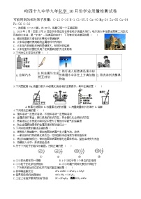 黑龙江省哈尔滨市第四十九中学2024-2025学年九年级上学期10月月考化学试题