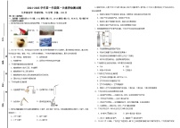 山东省乐陵市张桥中学2024--2025学年九年级上学期第一次月考化学试题