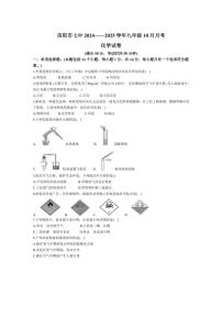 [化学]河南省信阳市第七中学2024～2025学年九年级上学期10月月考试题(含答案)