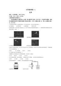 [化学]江西省南昌市南昌县东新中学2024～2025学年九年级上学期第一次月考试题(含答案)
