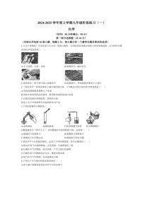 [化学]辽宁省沈阳市杏坛中学2024～2025学年九年级上学期10月月考试题(含答案)