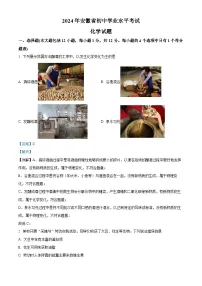 2024年安徽省中考化学真题（解析版）
