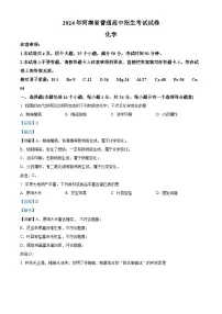 2024年河南省中考化学真题（解析版）