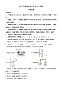 2024年山东省烟台市中考化学真题（原卷版）