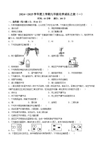 山东省日照市经济技术开发区中学2024-2025学年九年级上学期10月月考化学试卷(无答案)