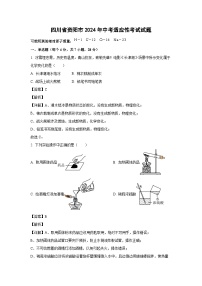 [化学]四川省资阳市2024年中考适应性考试试题(解析版)