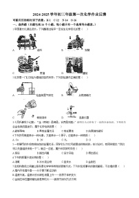 山东省聊城市茌平区振兴街道中学2024-2025学年上学期10月月考九年级化学试题(无答案)