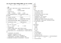 宁夏2024-2025学年九年级上学期第一次月考练习化学试卷