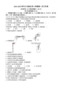 山东省临沂市莒南县临港实验中学2024-2025学年九年级上学期10月月考化学试卷