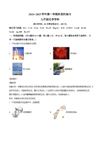 山东省济南市山东师范大学第二附属中学2024-2025学年九年级上学期第一次月考化学试题（解析版）