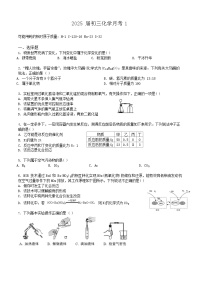 上海市杨浦实验中学2024-2025学年九年级上学期10月月考化学试卷