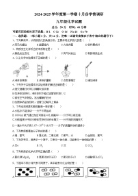 山东省济宁市鱼台县2024-2025学年九年级上学期10月月考化学试题(无答案)