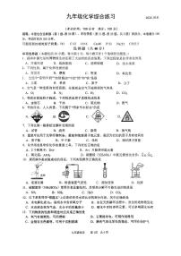 江苏省扬州市邗江区梅苑双语学校2024-2025学年九年级上学期10月份月考化学试题