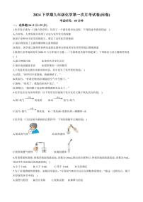 [化学]湖南省常德市芷兰实验学校等多校2024～2025学年九年级上学期第一次月考试题(有答案)