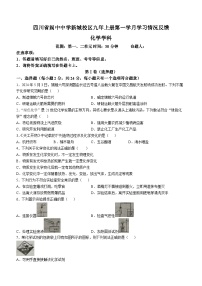 四川省阆中中学校新城校区2024-2025学年九年级上学期第一次月考化学试题(无答案)